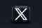X (Twitter) Logosu